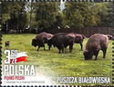 Puszcza Białowieska