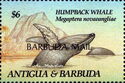 Humpback Whale (Megaptera novaeangliae) - Overprinted