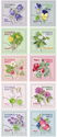Selection of Sweden's National Flower
