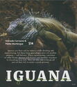 Iguana