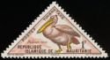 Rosy Pelican (Pelecanus onocrotalus)