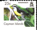 Bananaquit (Coereba flaveola)