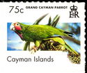 Grand Cayman Parrot (Amazona leucocephala caymanensis)