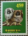 Pekingese Dog (Canis lupus familiaris)