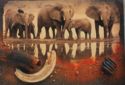 Elephants near Waterhole