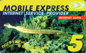 5u MOBILE EXPRESS Long fish