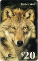 Timber wolf