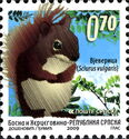 Eurasian Red Squirrel (Sciurus vulgaris)