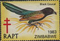RAPT Birds, Black Coucai
