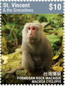 Formosan Rock Macaque (Macaca cyclopis)
