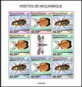 Insects of Mozambique