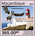Lighthouse of Cabo de São Vicente, Fratercula arctica