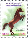Horse (Equus ferus caballus)