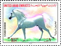Horse (Equus ferus caballus)