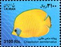 Bluecheek Butterflyfish (Chaetodon semilarvatus)