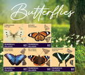 Butterflies