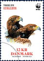 Golden Eagle (Aquila chrysaetos)