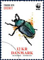 Hermit Beetle (Osmoderma eremita)