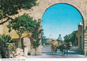 Typical County Scene, Gozo, Malta