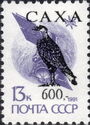 Bird overprint Series