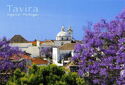 Tavira - Blooming Jacaranda Trees