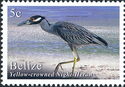 Yellow-Crowned Night Heron (Nyctanassa violacea)