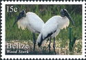 Wood Stork (Mycteria americana)