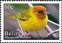 Mangrove Warbler (Setophaga petechia)