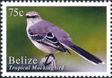 Tropical Mockingbird (Mimus gilvus)