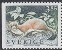 Stoat (Mustela erminea)