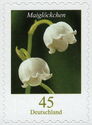 Lily of the Valley (Convallaria majalis)