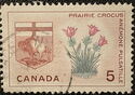 Prairie Crocus and Arms of Manitoba
