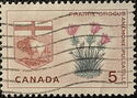 Prairie Crocus and Arms of Manitoba
