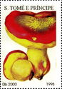 Boletus pinicola