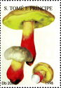 Boletus satanas