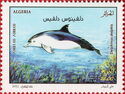 Common Dolphin (Delphinus delphis)
