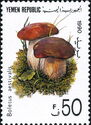 Boletus aestivalis