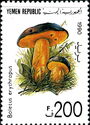 Boletus erythropus