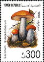 Leccinum testaceoscabrum