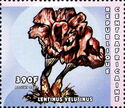 Lentinus velutinus.