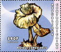 Pluteus congolensis.