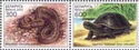 Fauna of Belarus - Reptiles (2003)
