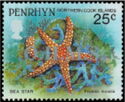 Sea Star (Fromia monilis) -Silver Overprint