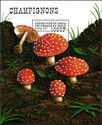 Amanita muscaria