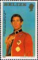 Prince Charles in Military Uniform
