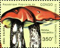 Boletus versipellis