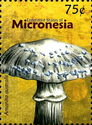 Amanita australis