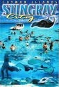 Sting Ray City