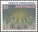 Crown of Thorns Starfish (Acanthaster planci)