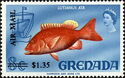 Red snapper (Lutjanus ata)
